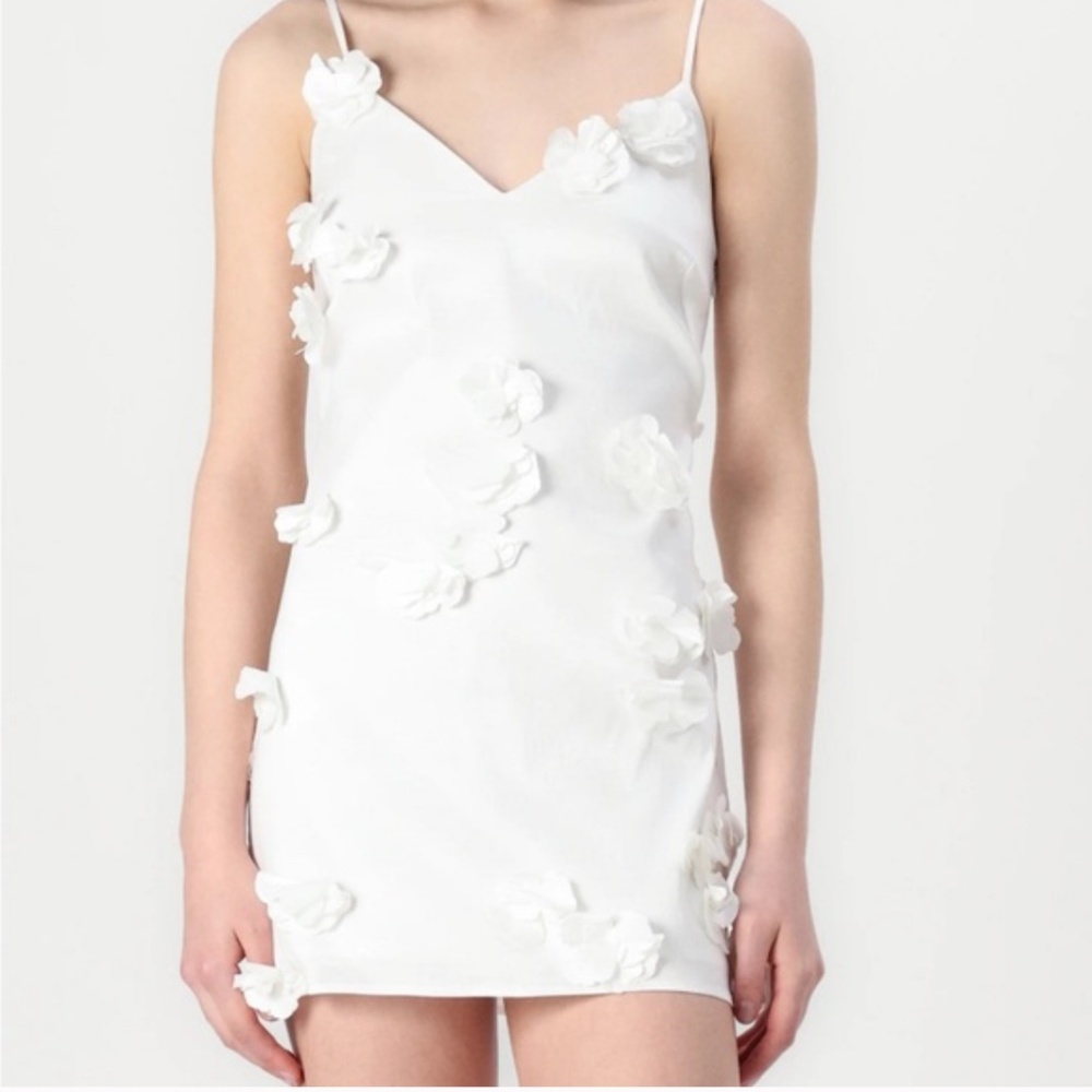 Abercrombie appliqué 3D floral dress